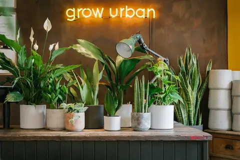 Grow Urban photo 1